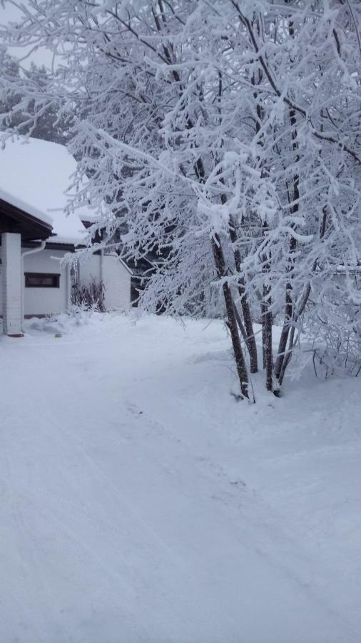 The House Near Santa Park Villa Rovaniemi Exterior photo