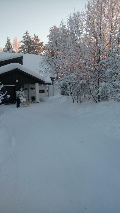 The House Near Santa Park Villa Rovaniemi Exterior photo